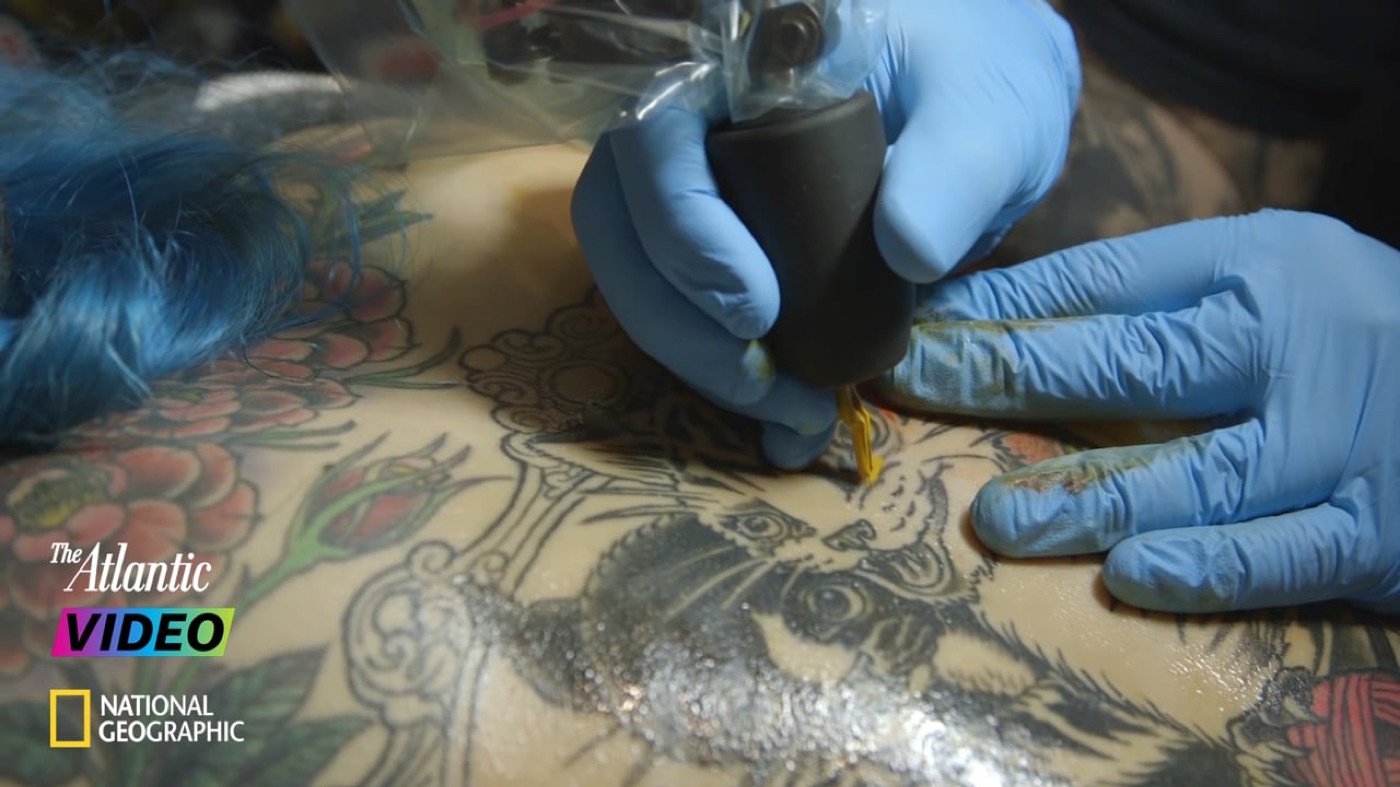 Still from The Rise of the Cat Tattoo